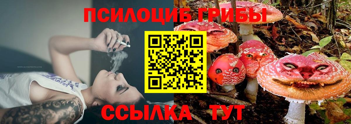 Галлюциногенные грибы MAGIC MUSHROOMS  Галлюциногенные грибы Psilocybine cubensis  Белая Калитва  Вход с VPN 